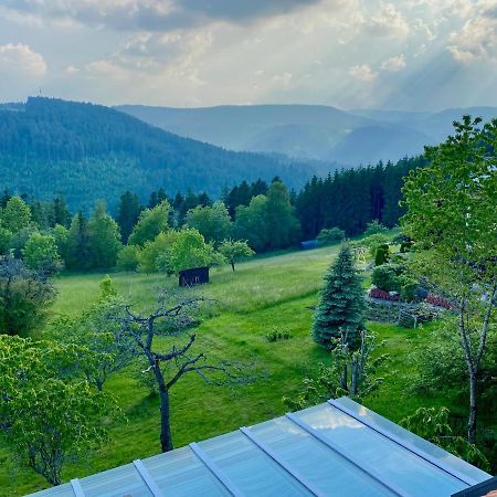 Ferienhaus Mit 5* Luxus Im Schwarzwald Aichhalden Екстер'єр фото