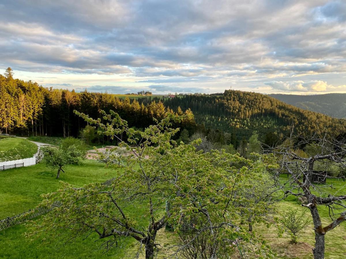 Ferienhaus Mit 5* Luxus Im Schwarzwald Aichhalden Екстер'єр фото