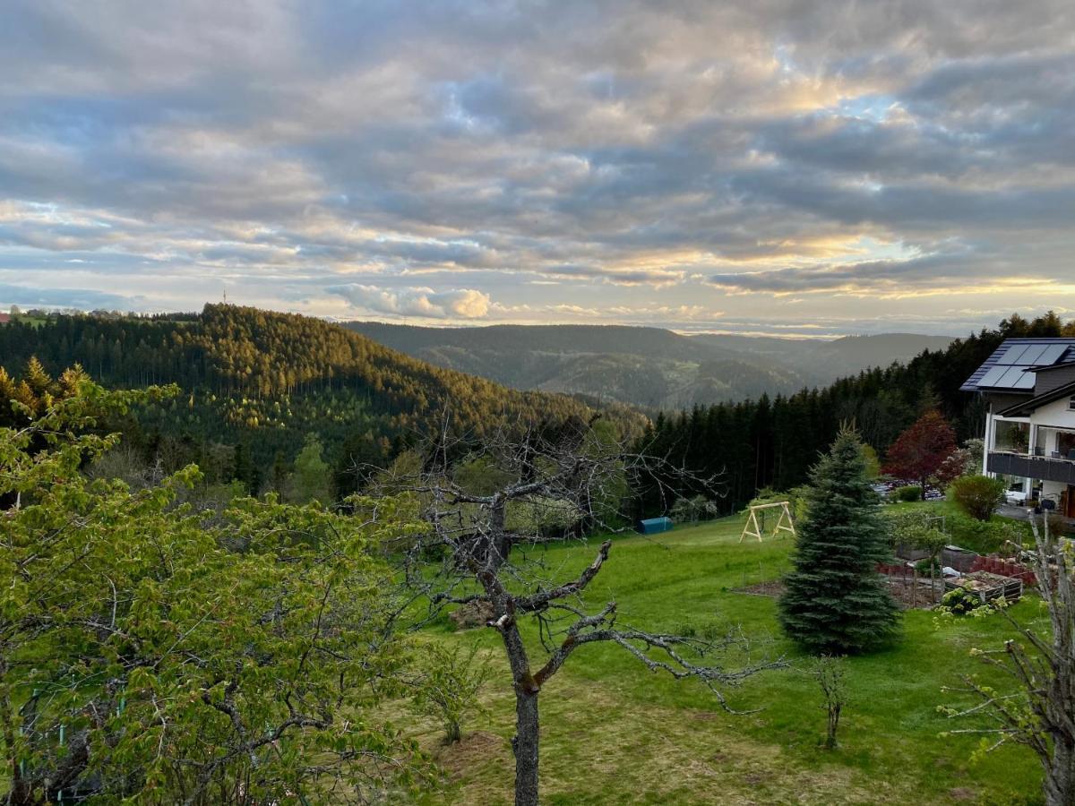 Ferienhaus Mit 5* Luxus Im Schwarzwald Aichhalden Екстер'єр фото