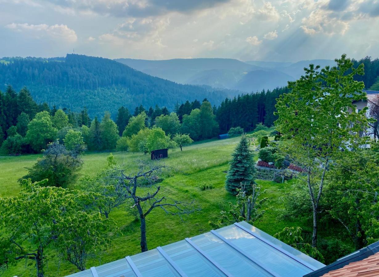 Ferienhaus Mit 5* Luxus Im Schwarzwald Aichhalden Екстер'єр фото